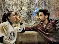 Parth Samthaan and Erica Fernandes breakup