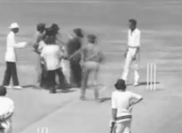 female pitch invader