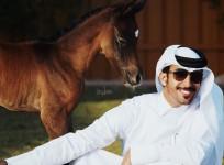 horses from Hassan Al Mannai