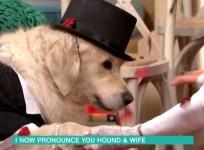hound and wife