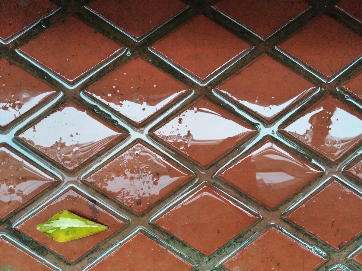 Redmi 7A review: Camera samples Redmi 7A review: Camera samples