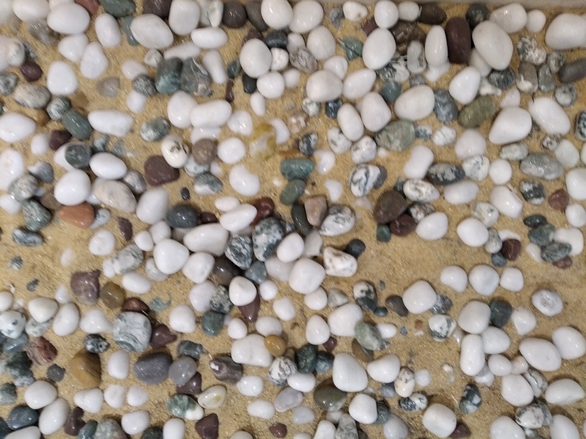 Redmi 7A review: Camera samples Redmi 7A review: Camera samples