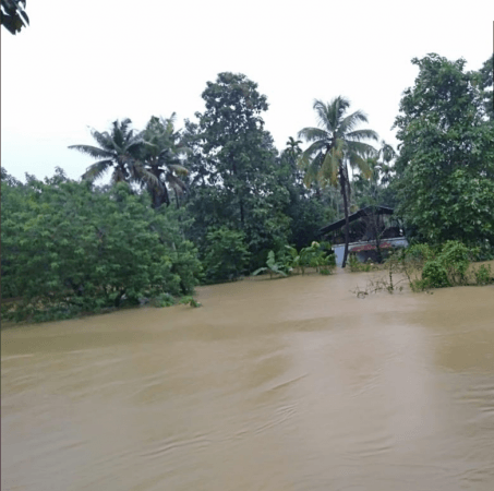 Kerala rains