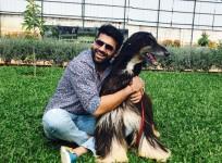 Viren Sharma