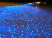Sea sparkle in Chennai