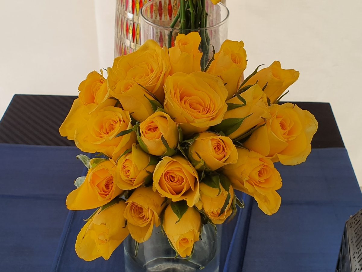 Samsung Galaxy Note 10 camera samples Samsung Galaxy Note 10 camera samples