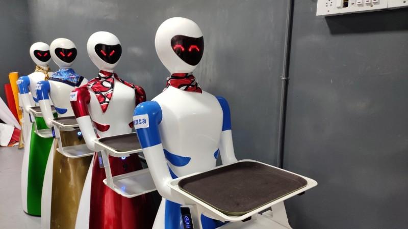 Robot Restaurant, Bengaluru