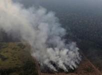 amazon fires