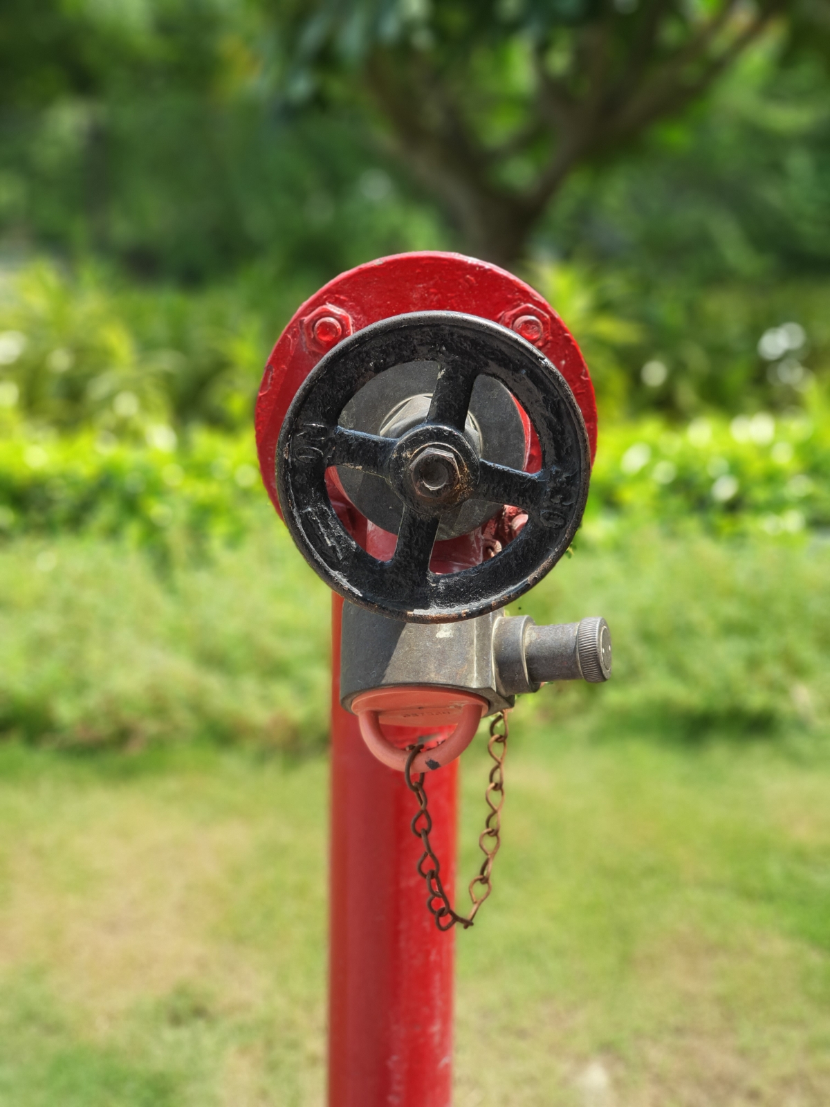 Samsung Galaxy Note 10 camera sample