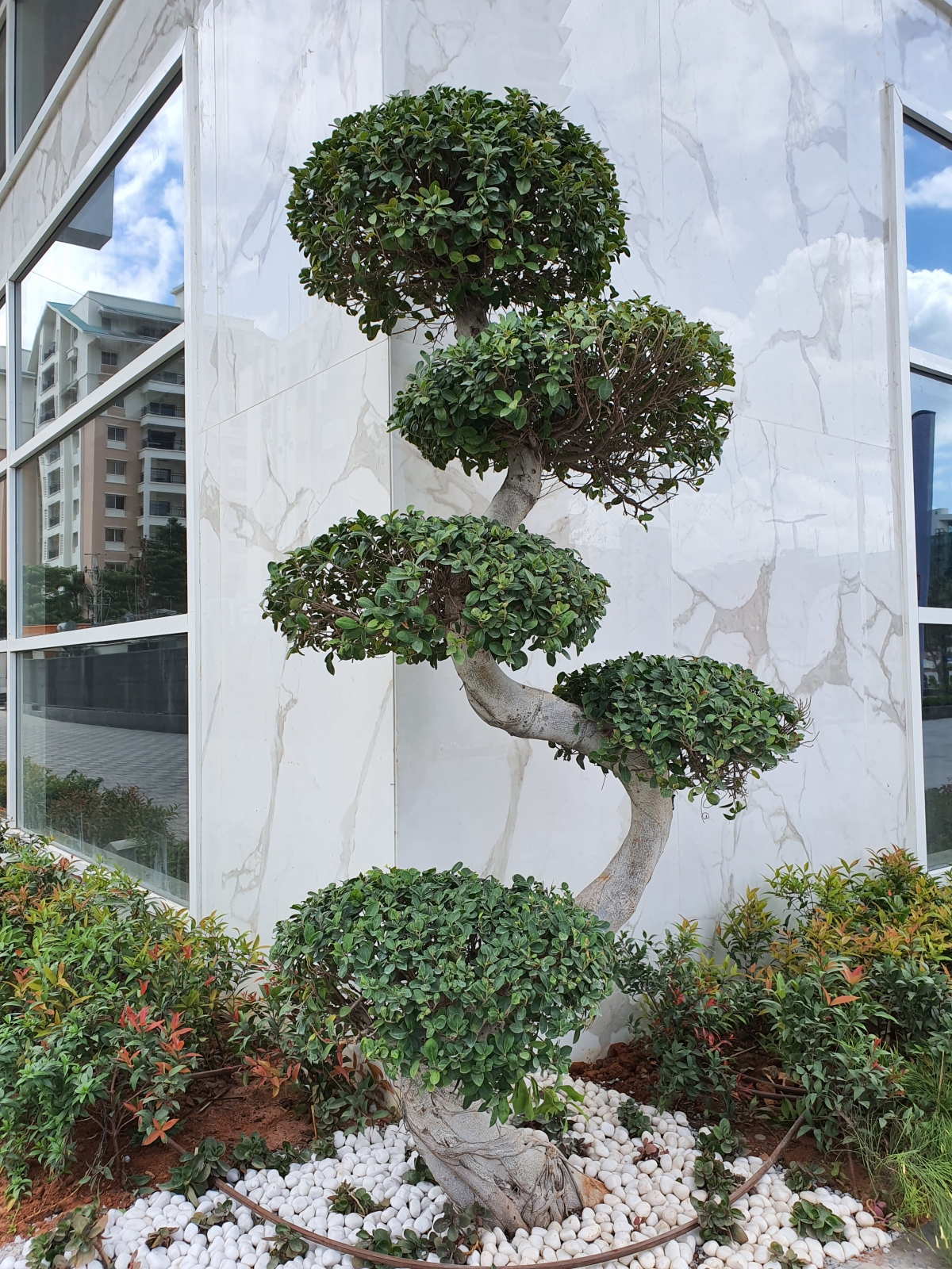 Samsung Galaxy Note 10 camera sample