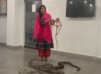 pakistani singer with snakes