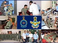 IAF pilots