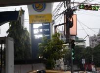 Blue chip companies