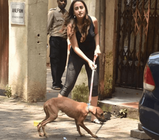 Natasha Dalal trolled for her pet dog's malnourished condition Natasha Dalal trolled for her pet dog's malnourished condition
