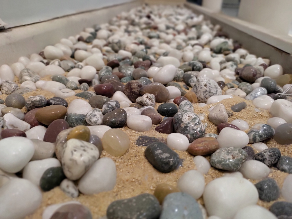 ROG Phone 2 camera samples ROG Phone 2 camera samples