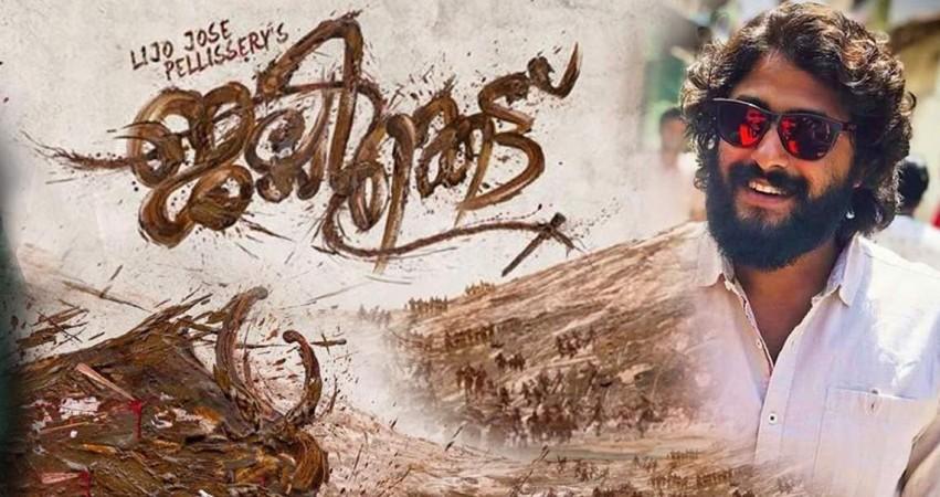 Jallikattu Jallikattu