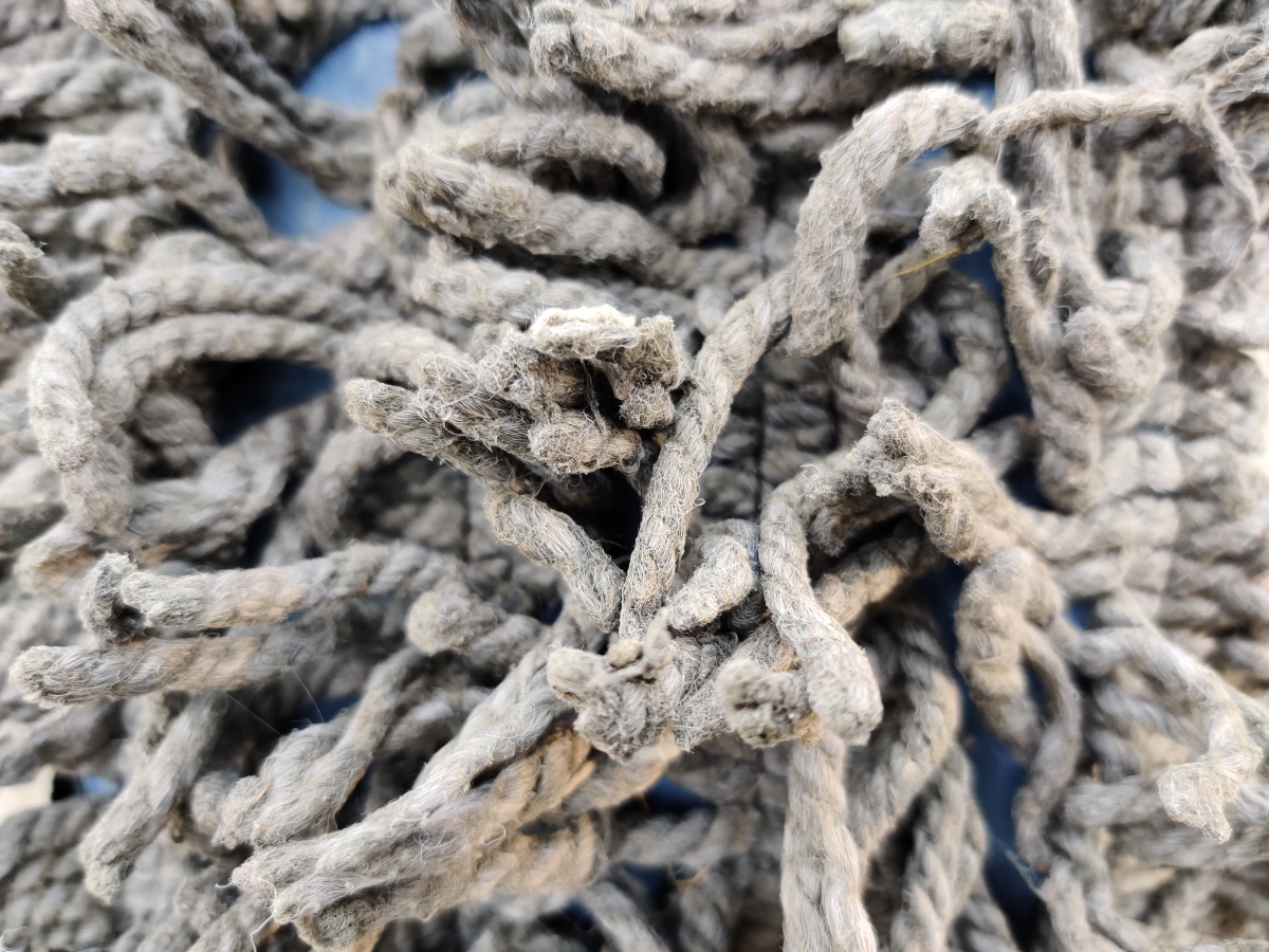 OnePlus 7T camera samples OnePlus 7T camera samples