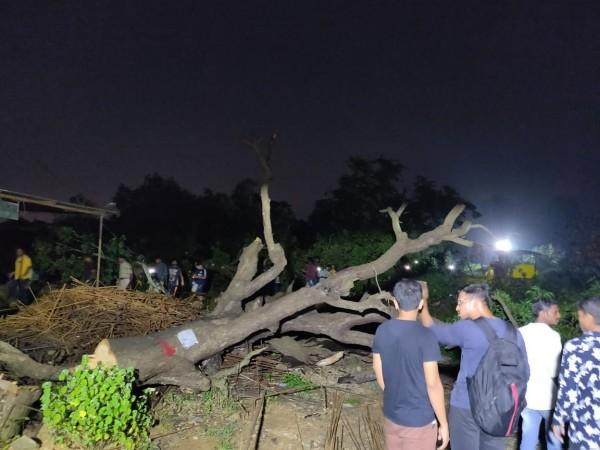 Section 144 has been imposed at Aarey Colony. Aarey Colony protest