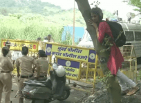 aarey forest tree cutting news