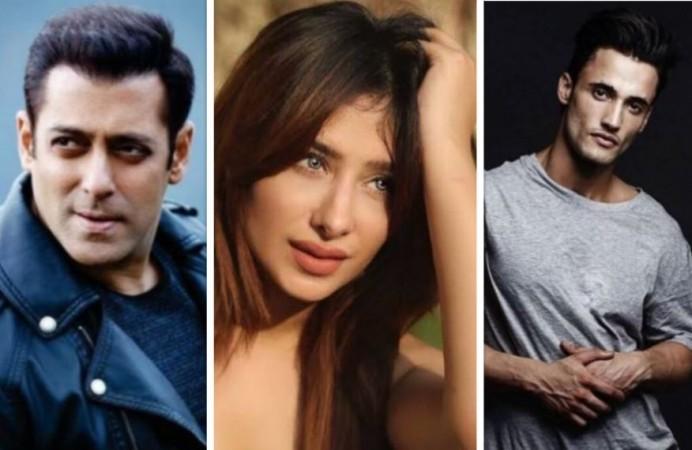 Salman Khan, Mahira Sharma, Asim Riaz
