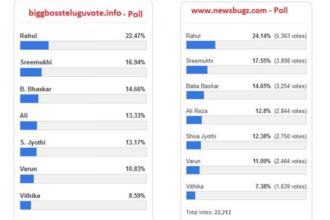 Vithika Sheru to eliminated from Bigg Boss Telugu 3 house [Online voting results] -
