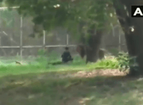 delhi zoo
