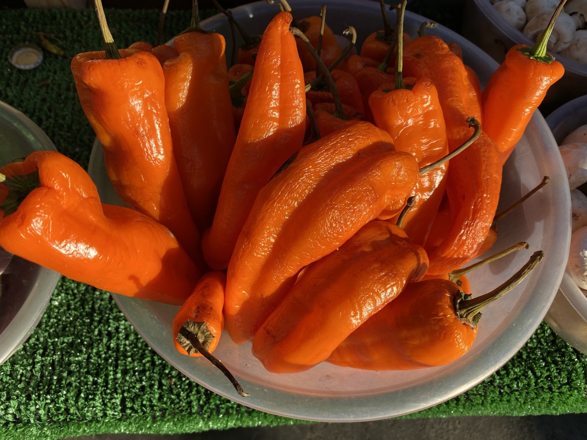 iPhone 11 Pro Max camera review iPhone 11 Pro Max camera review