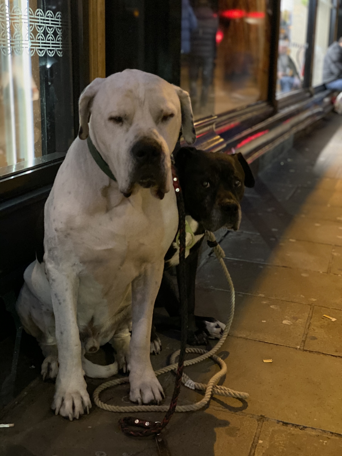 iPhone 11 Pro Max camera review iPhone 11 Pro Max camera review