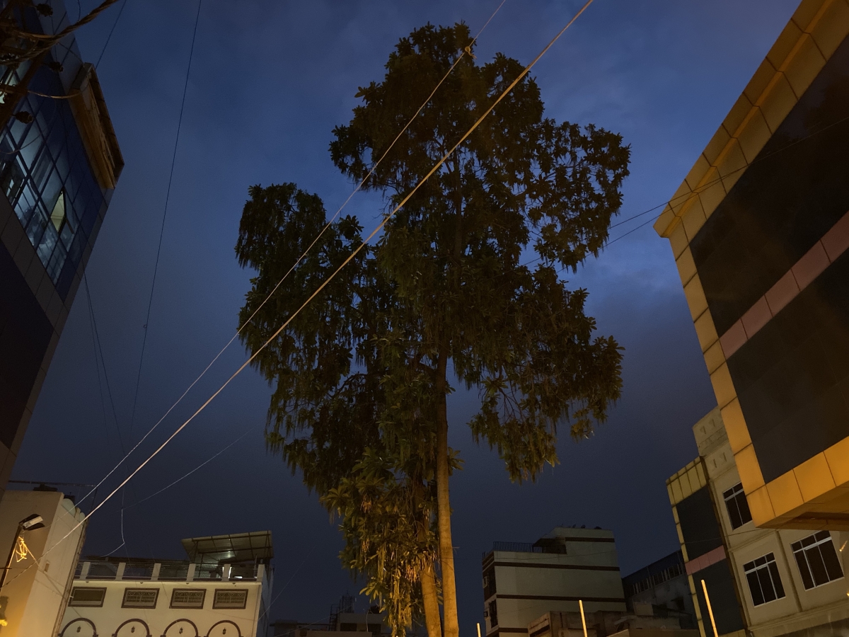 iPhone 11 camera sample