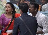 Bigg Boss 3