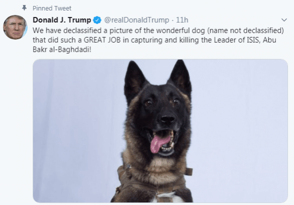 dog baghdadi raid