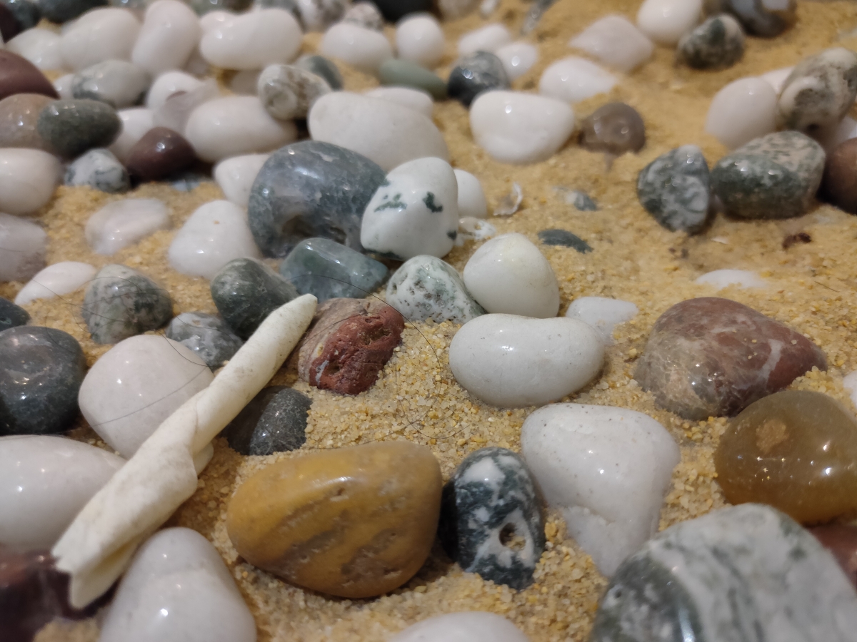 Realme XT camera sample