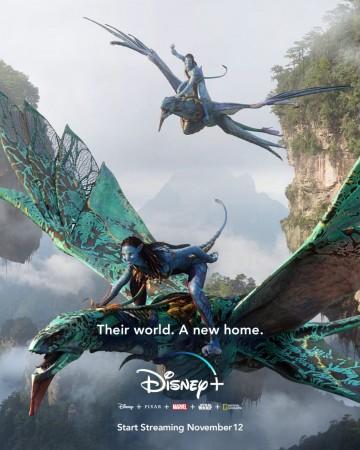 Avatar 2 Gets Disney+ Release Date (Official)