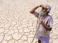 Farmers' suicide