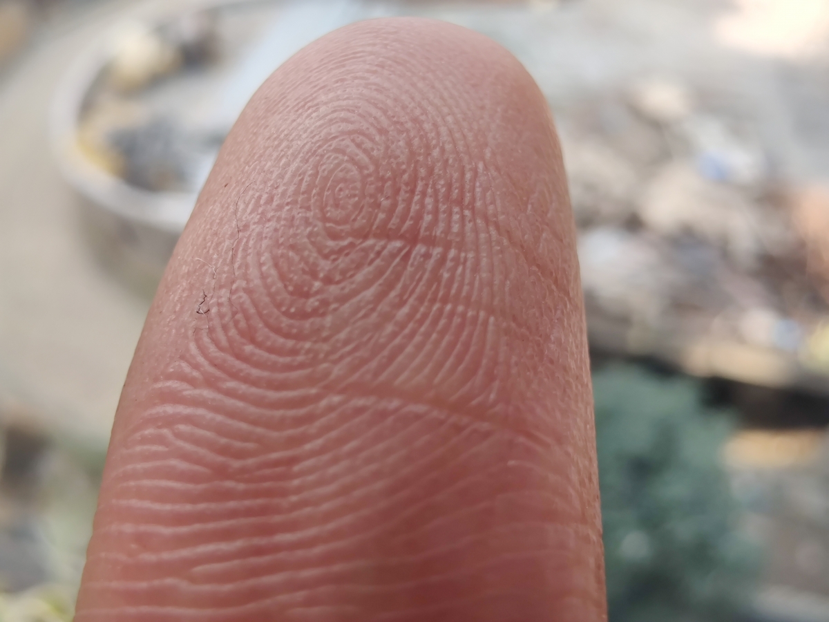 Shot with Macro mode