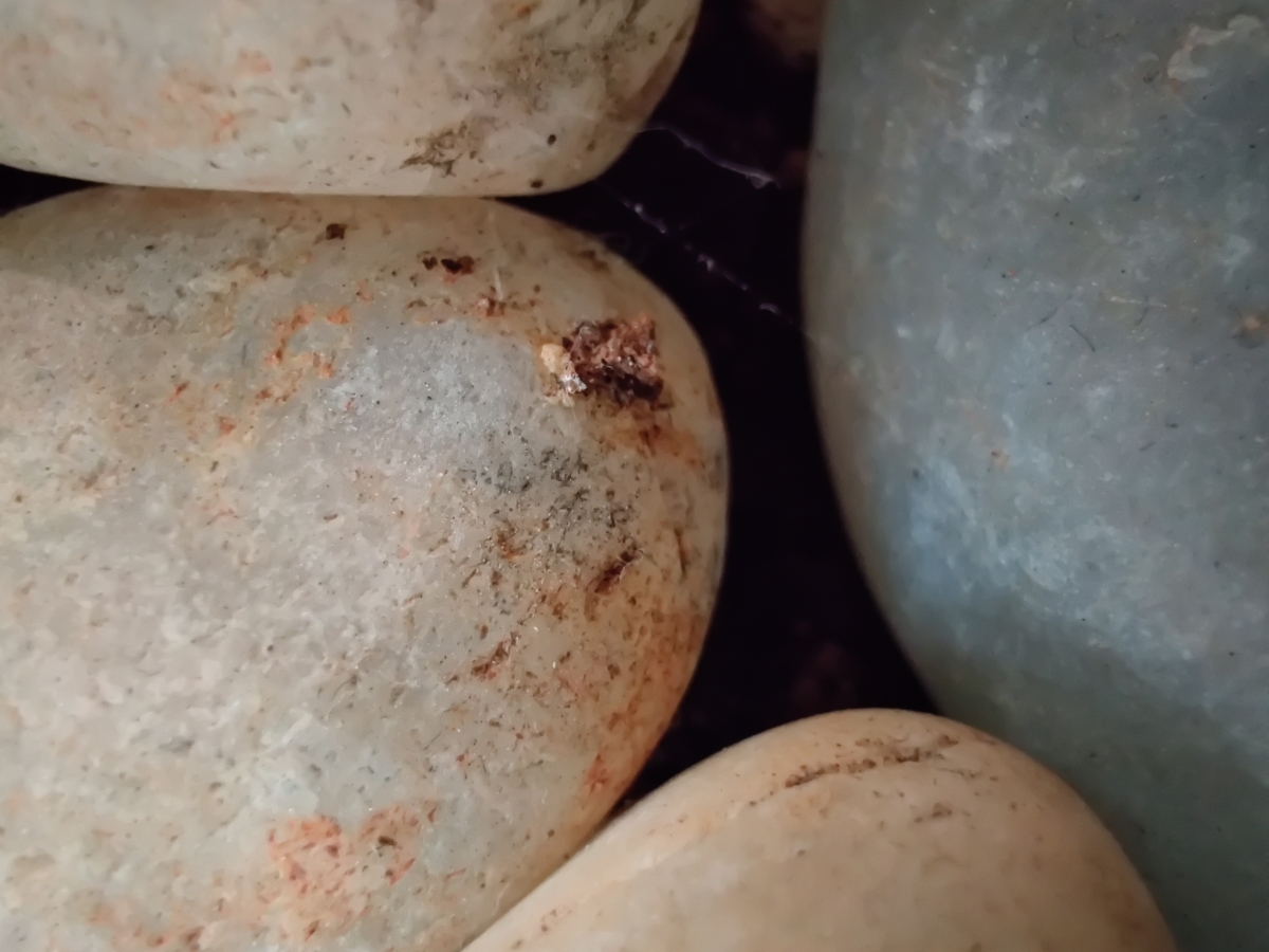 Shot with Macro mode