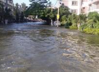 Hulimavu Lake breach