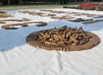 Arms and ammunition