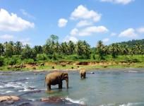 Sri Lanka