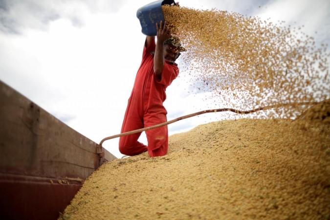 A worker inspects soybeans during the soy harvest near the town of Campos Lindos, Brazil. US China