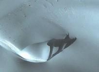 UFO Antarctica
