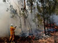 Australia bush fire