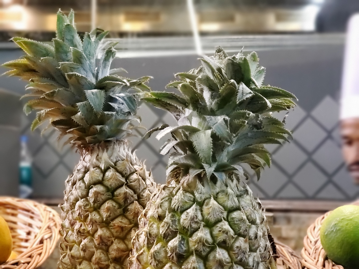 Samsung Galaxy Fold camera sample