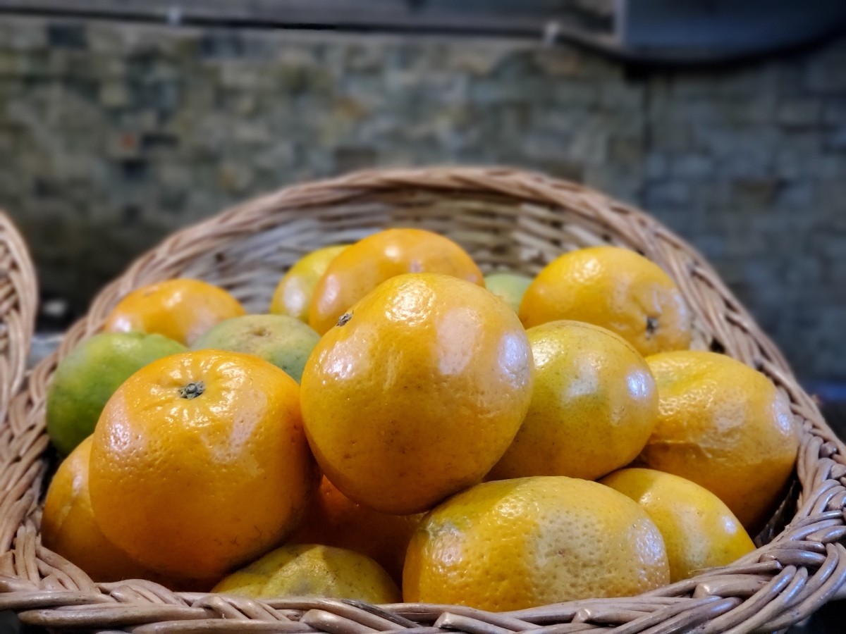 Samsung Galaxy Fold camera sample