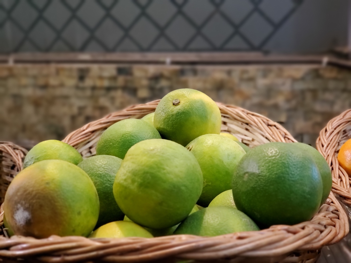 Samsung Galaxy Fold camera sample