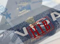 h1-b visa