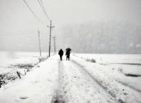 Kashmir Snow fall