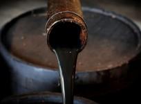 Oil