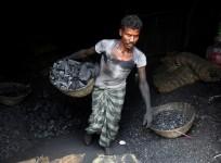 Coal