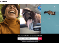 TikTok app poses a risk